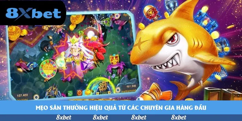 8xbet - trang đá banh uy tín
