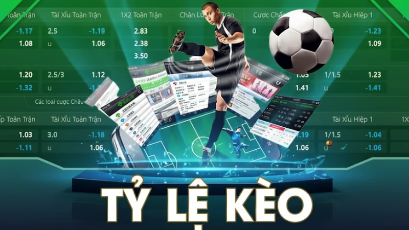 8xbet - đại lý ok9