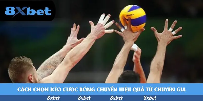 8xbet - haywin scam