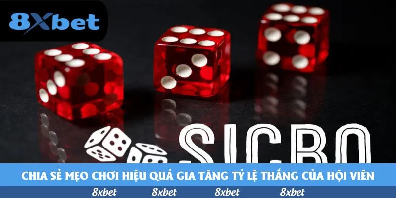 8xbet - tỷ lệ world cup hôm nay