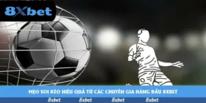 Khám Phá Tỷ Lệ AFF Cup Và Cách Ảnh Hưởng Đến World Cup 2026
