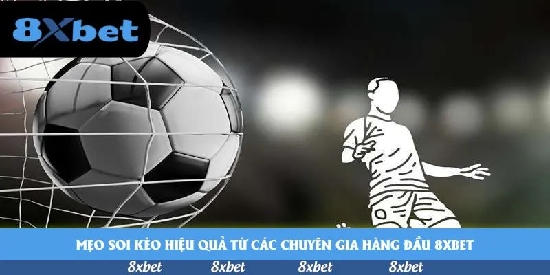 8xbet - tỷ lệ aff cup