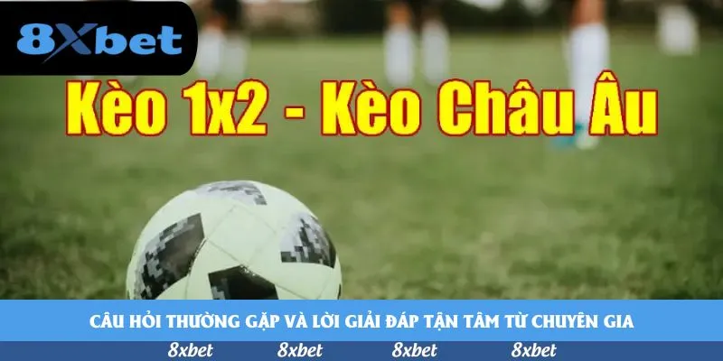 8xbet - w88 không bị chặn