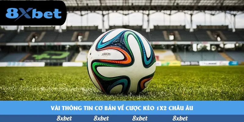 8xbet - tải app mb66
