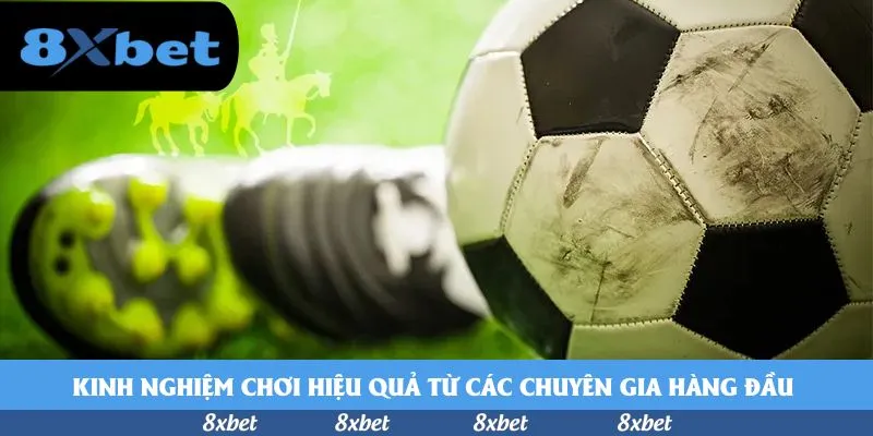 8xbet - go88 thể thao